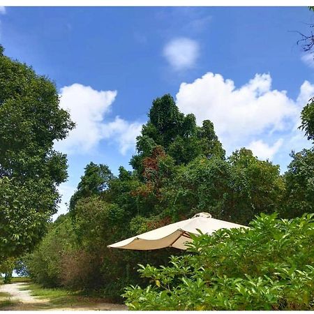 Tropical Resort Langkawi Eksteriør bilde
